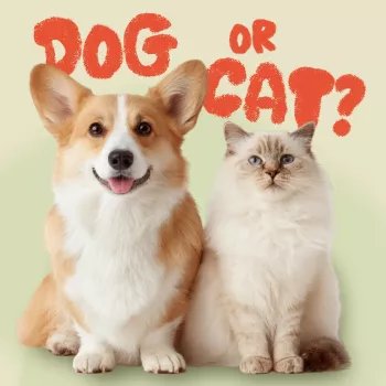 Easiest Dog Breeds for Beginners: Top Low-Stress Picks
